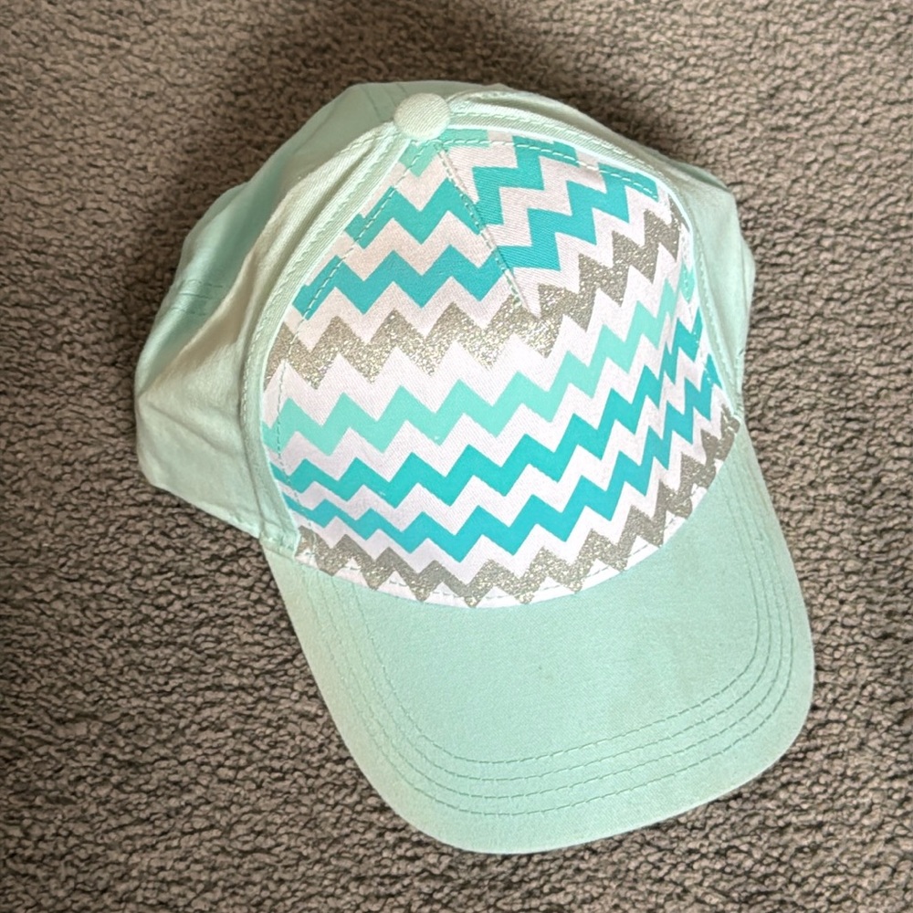 Mint Green and Glittery Silver Chevron Pattern Pugs Cap/Hat.